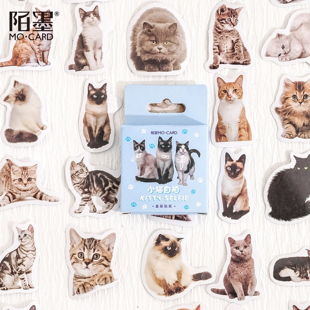 

45 Pcs Cute Cat Stickers Kitty Stickers Decals For Kids Toys Gifts Scrapbook Crafts Arts journaling
