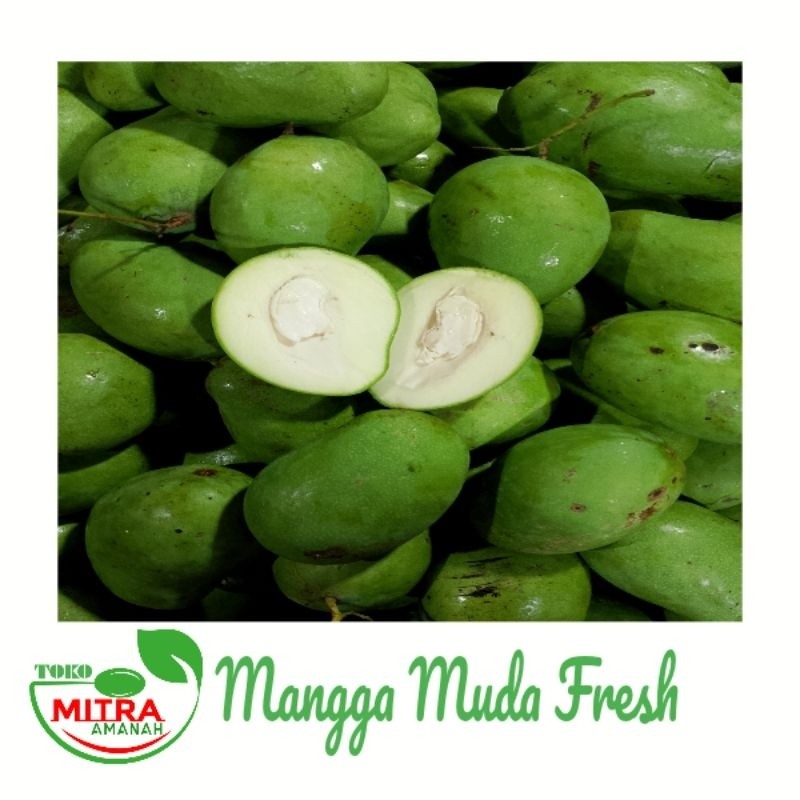 

READY MANGGA MUDA GARANSI FRESH