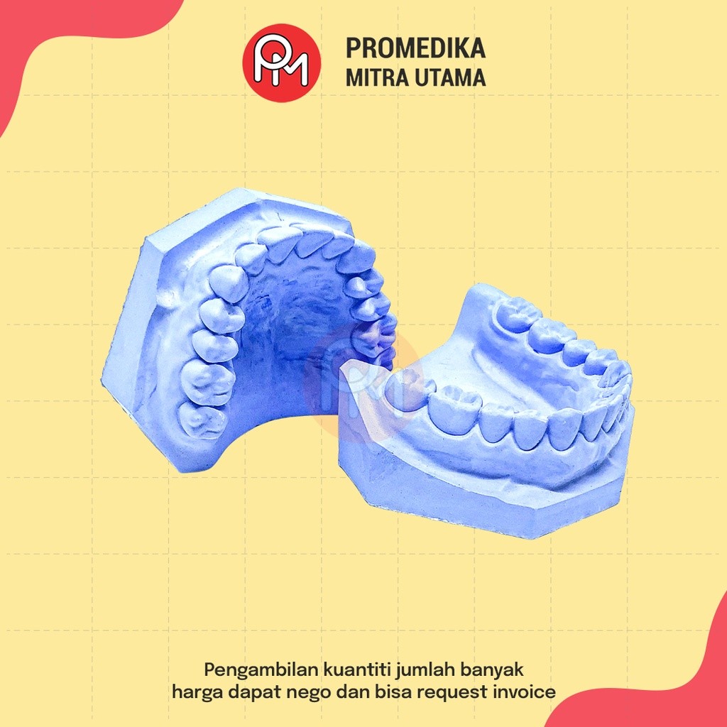 Model Gigi Gips, Biru tipe 2 - Bergigi / Tidak Bergigi