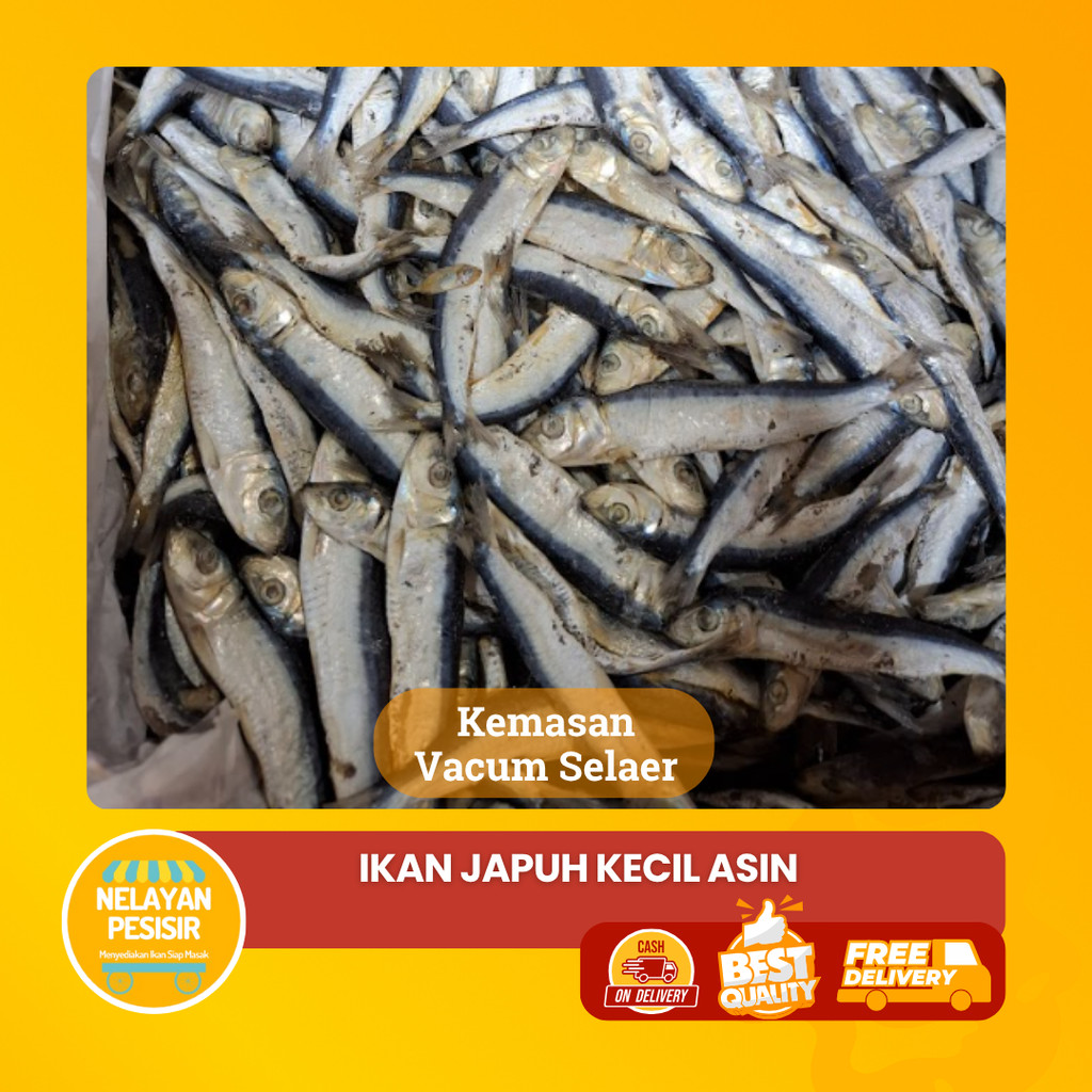 

Ikan Asin Japuh Kecil Tanpa Pengawet Kualitas Premium Fresh
