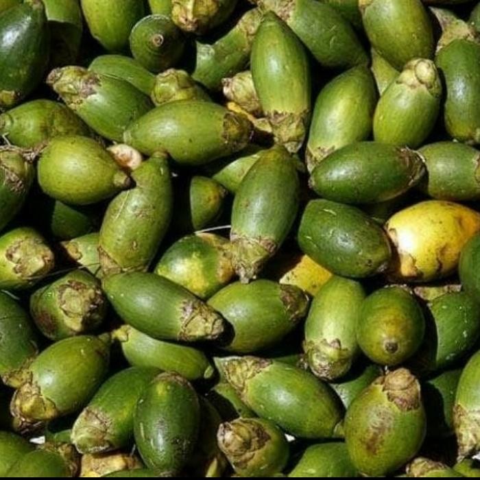 

Ready stok buah pinang ceming buah pinang muda