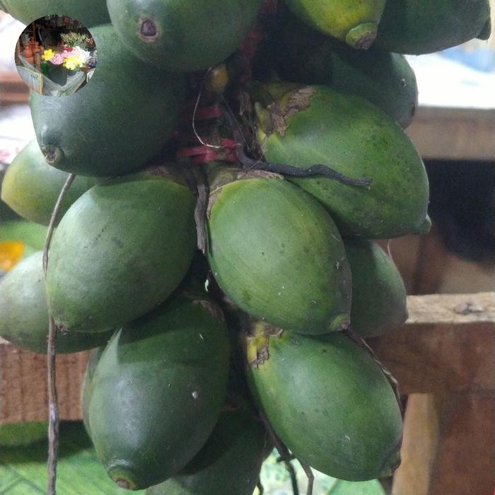 

Ready stok buah pinang ceming Buah Pinang Muda / Buah Jambe