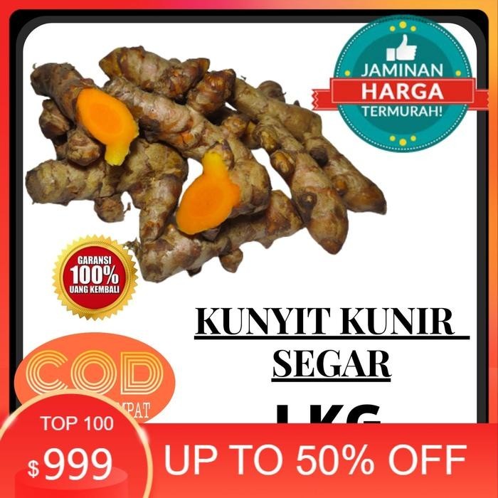 

promo kunir segar 1 kg kunyit kunir segar - Kuning ready
