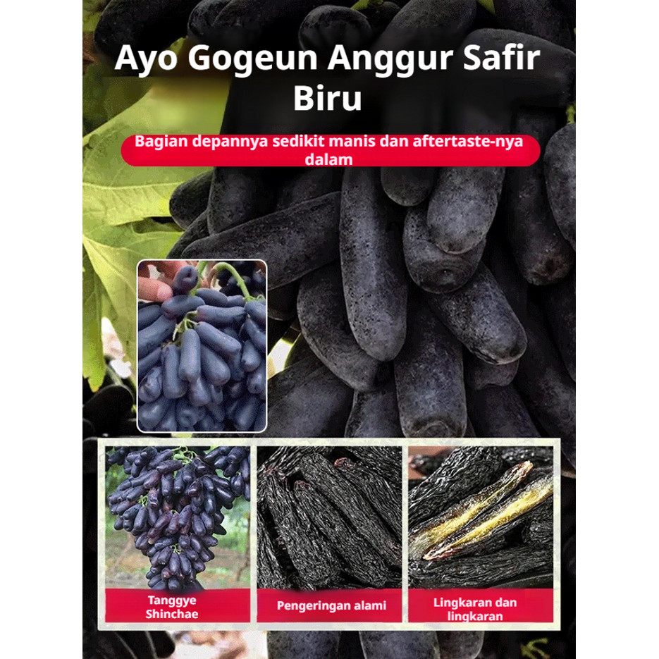 

Kismis safir/kecantikan kering alami asli tanpa biji camilan khusus jari emas/Black Beauty Dried Grapes