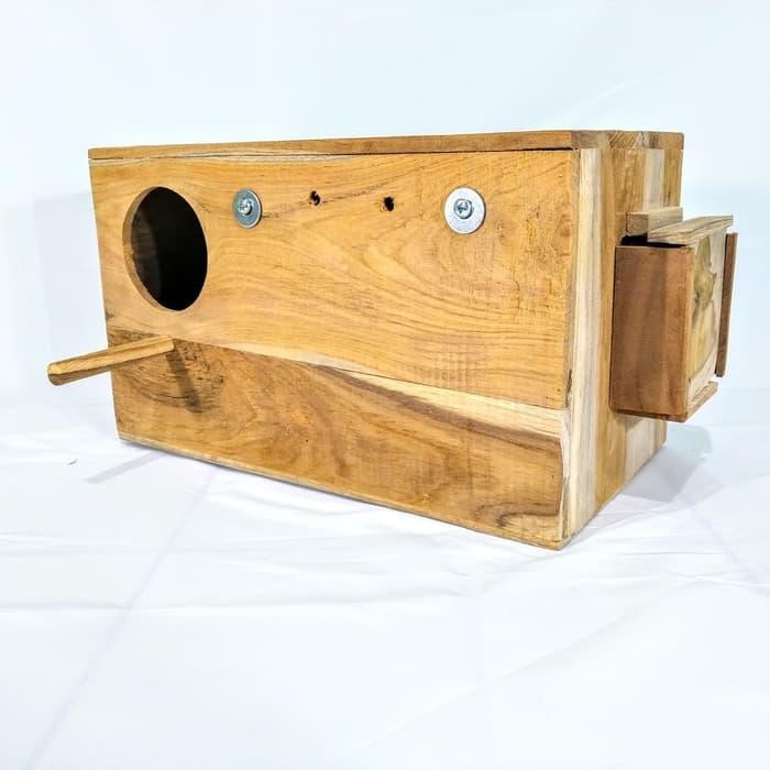 Glodok kaca untuk ternak Falk cocktail parkit australi - Kanan