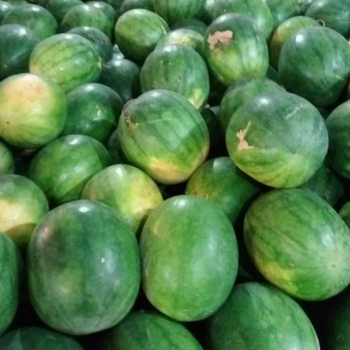 

Semangka Merah 1 Butir +- 3 kg