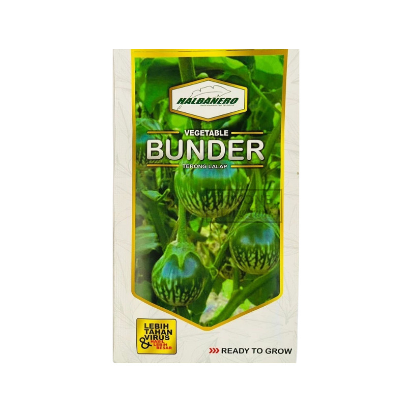 Benih Terong Lalap BUNDER 10Gr Original HALBANERO Buah Lebat Warna Menarik Tahan Penyakit