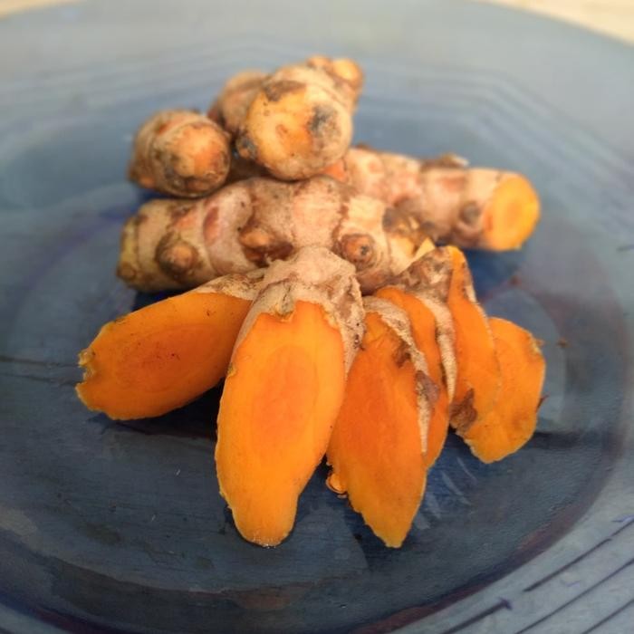 

promo kunyit kuning segar organik.