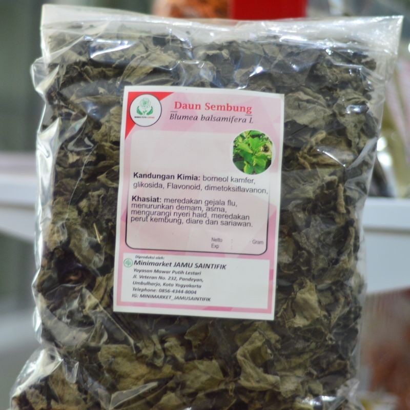 

Sahabatalam Daun sembung kering premium PROMO TERMURAH