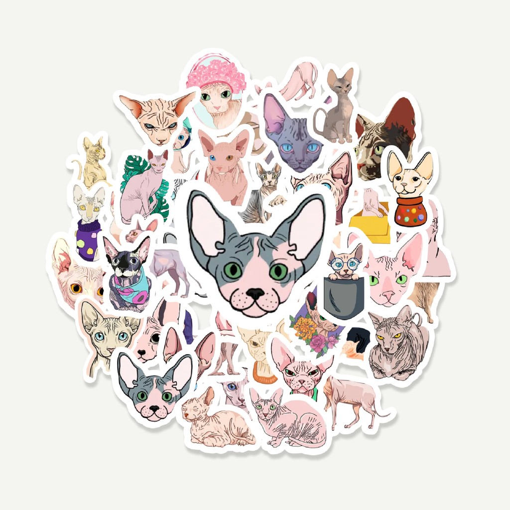 

Sticker Pack Stiker Hewan Kucing Sphinx | Sticker TUMBLR | Stiker LAPTOP KOPER HELM