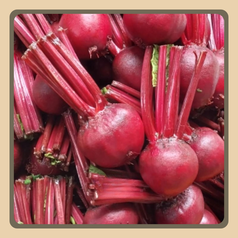 

Buah Bit Segar 1kg Termurah Kualitas Super