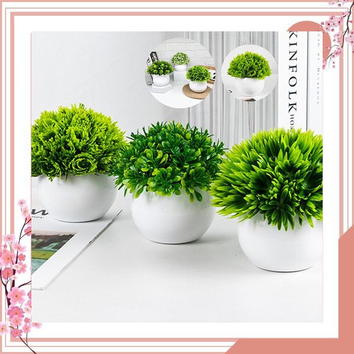 

UNICO / COD / Pot Tanaman Hias Mini / Pot Bunga Bonsai Hias Plastik / Tanaman Hias Plastik Palsu Dekorasi Hiasan Artificial PBP137