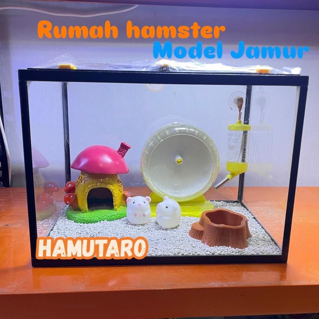 Terarium Kandang Hamster aquarium Fullset medium Kandang Hamster unik