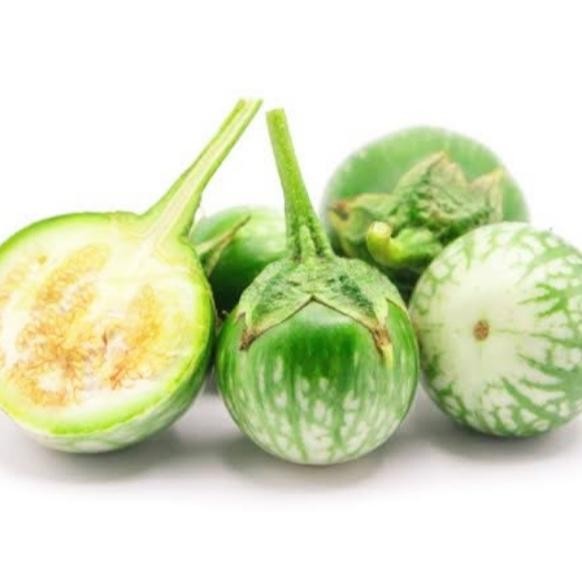 

Terong Lalap 500gr