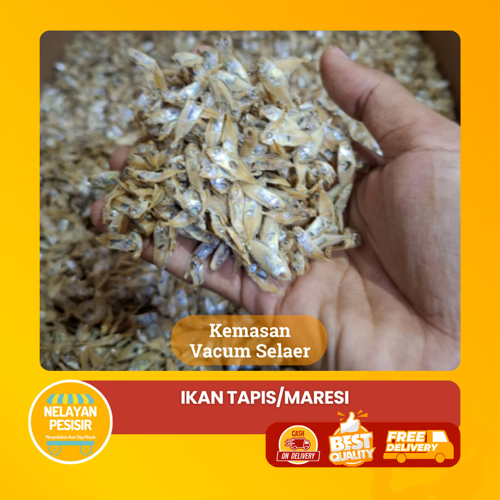 

Ikan Asin Semadar/ Tapis Super / Maresi Kualitas Terbaik Harga Termurah