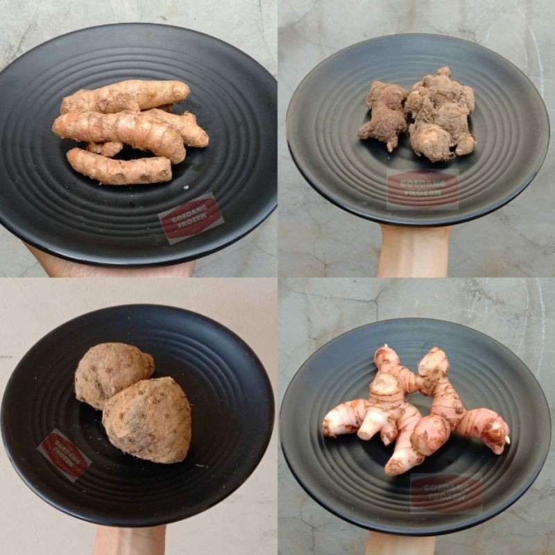 

Jahe Merah / Temu Kunci / Kunyit / Temulawak / Kencur / Lengkuas terlaris berkualitas