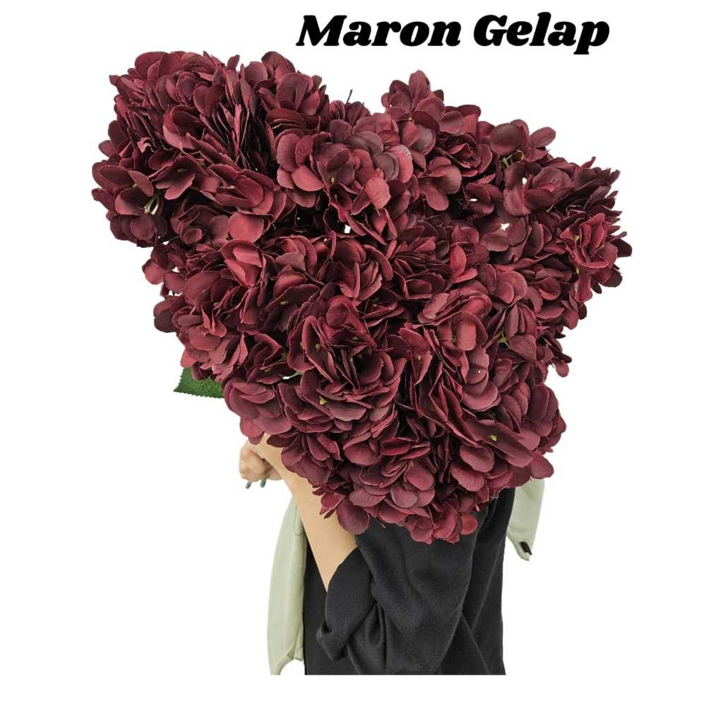 

Bunga Hortensia Premium Jumbo x5 Kualitas Jumbo