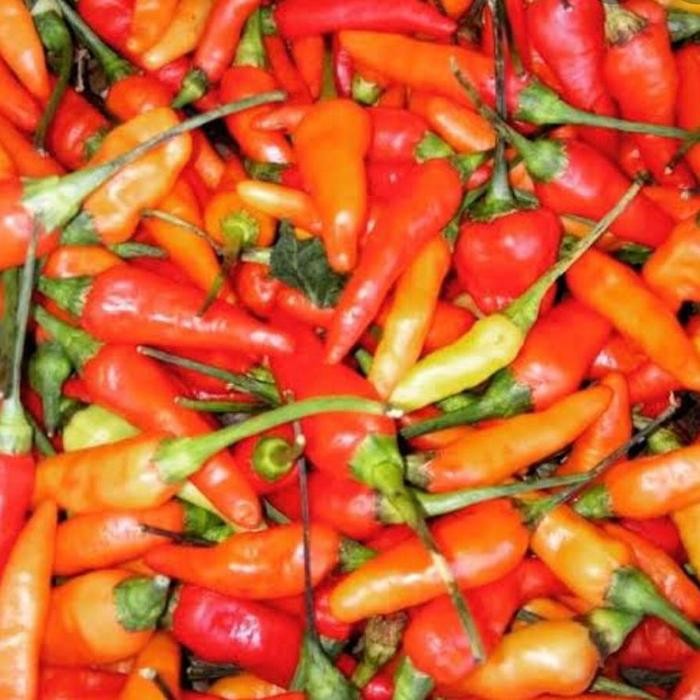 

Cabai Rawit Merah 100gr