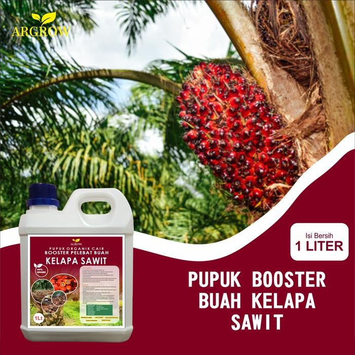 BOOSTER SAWIT 1 LITER, PUPUK ORGANIK CAIR UNTUK POHON KELAPA SAWIT PUPUK BERNURTRISI TINGGI RAMAH LI