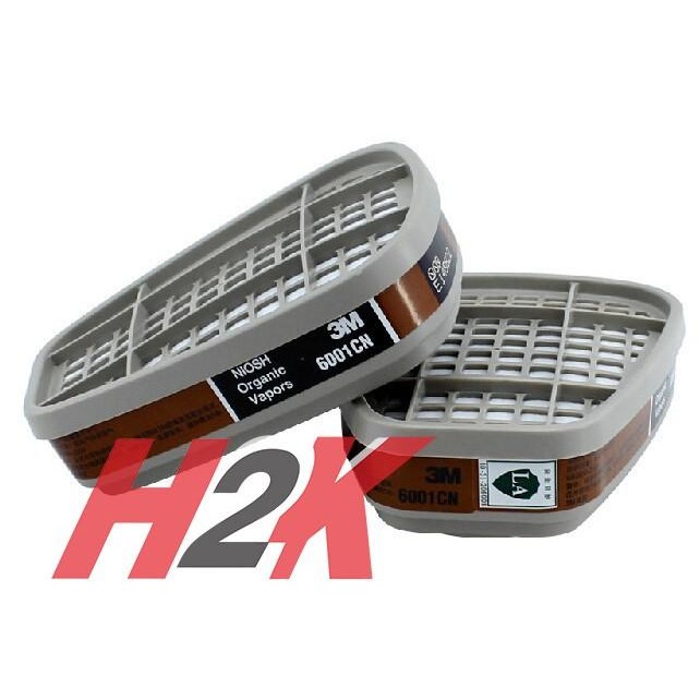 MUMPUNG PROMO Filter Masker / Organic Cartridge 3M 6001 - 6001CNTERLARIS