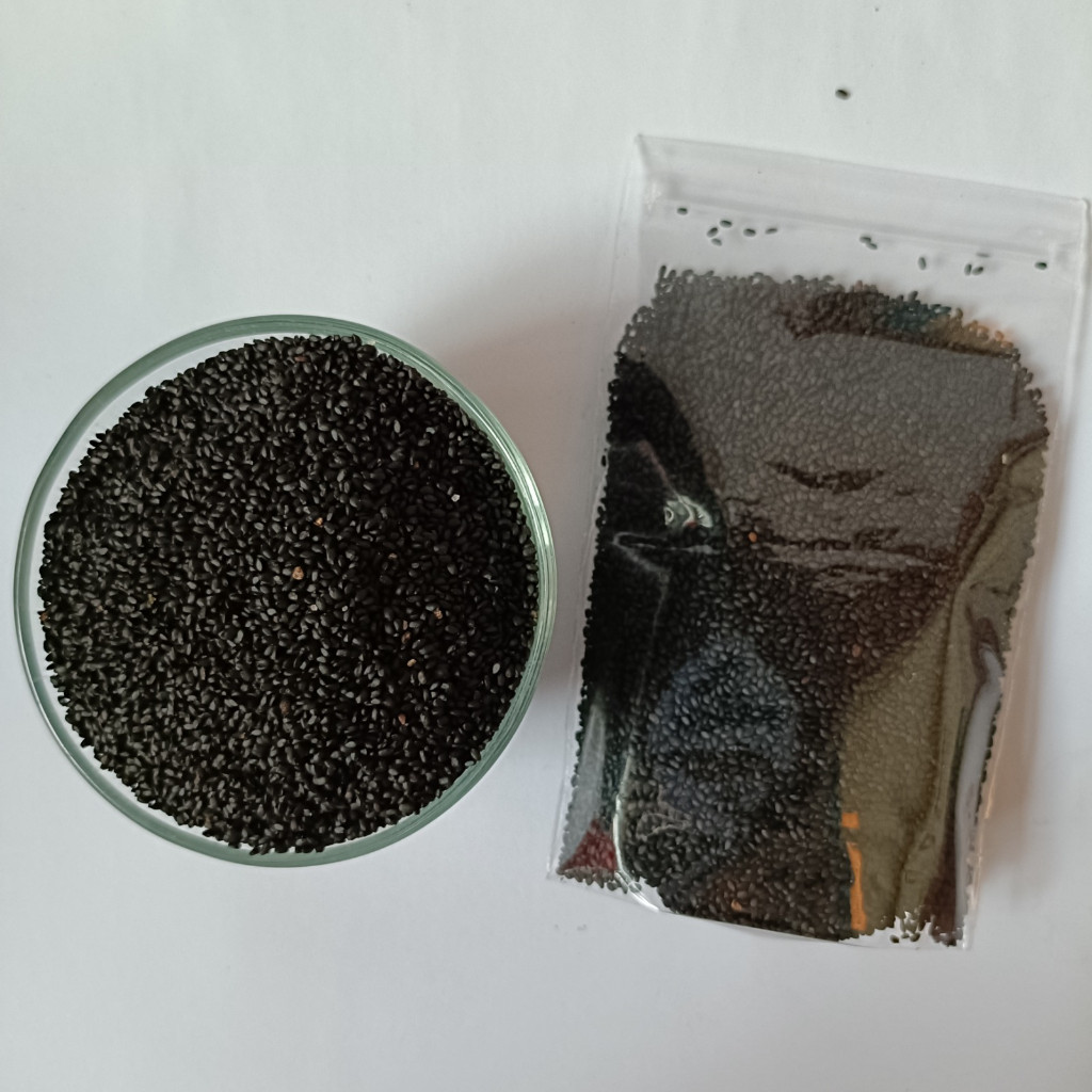 

Biji Selasih Organic - Grade A 500GR & 1KG