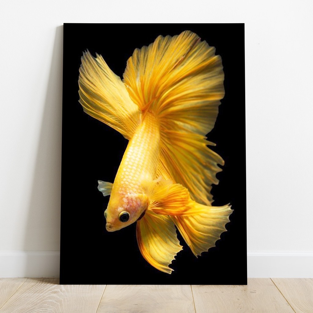 Poster Kayu Ikan Cupang Beta Fish Halfmoon Serit Slayer Warna Emas Putih Merah Biru Dekorasi Kamar