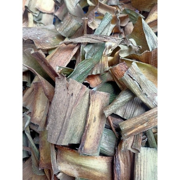 

JUAL DAUN BAKUNG KERING DIJEMUR DIBAWAH TERIK MATAHARI LANGSUNG BAKUNG OLAHAN KERING Y