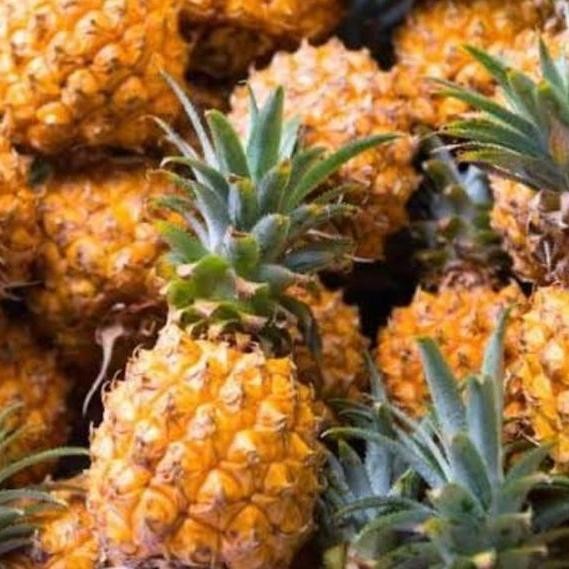 

Nanas Madu 1 Buah