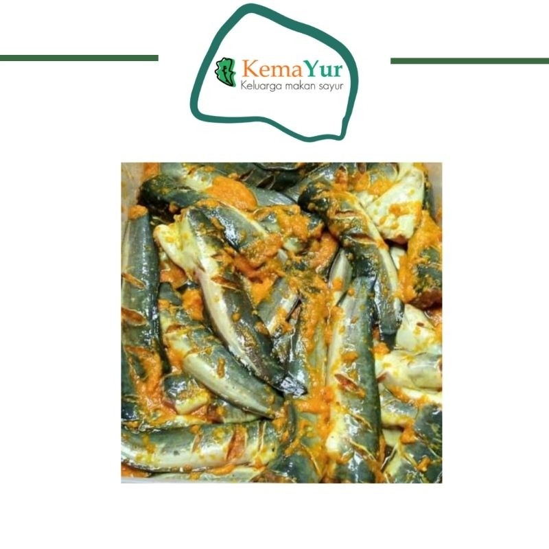 

IKAN BUMBU KUNING MARINASI LELE BUMBU KUNING SIAP MASAK