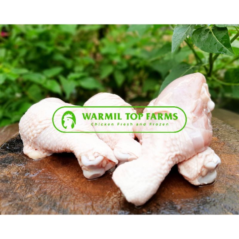 

Paha Ayam Pentung 1kg Daging Ayam Potong Segar Fresh Frozen Chicken Drumstick Paha Bawah Murah