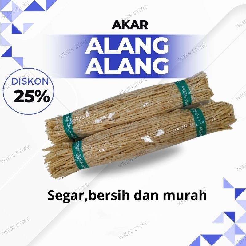 

Akar Alang Alang 1 KG Fresh