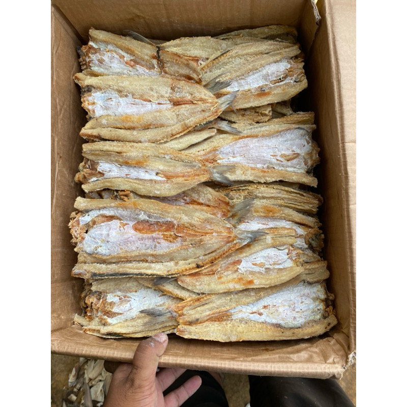 

ikan asin Gabus laut/bloso kering murah 1kg best seller