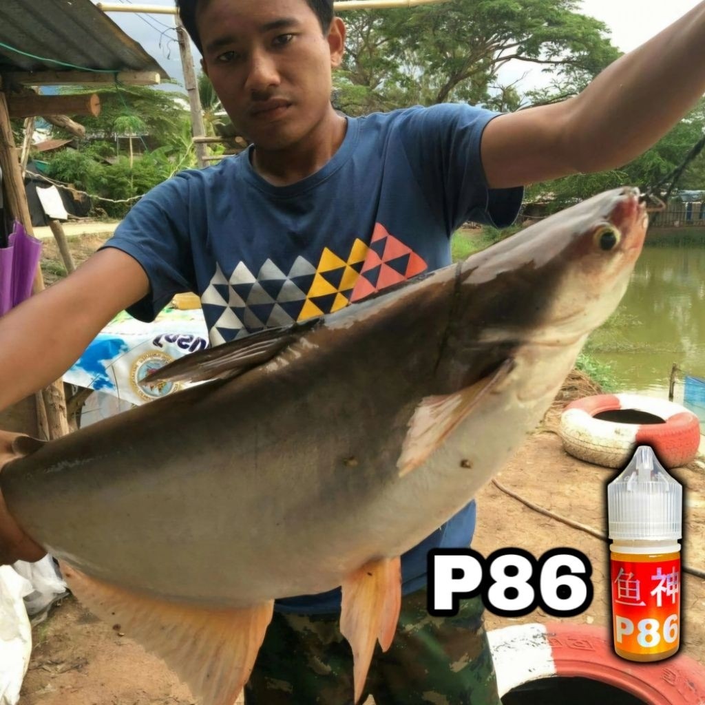 original P86 Essen Ikan Super Jahat Umpan Pancing  Gurih Amis Untuk Babon Ikan Mas  Lele Galatama / 