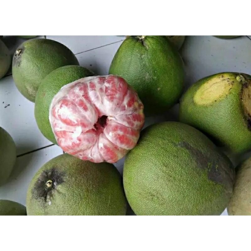 

JERUK PAMELO MADU MERAH MANIS 800-1KG