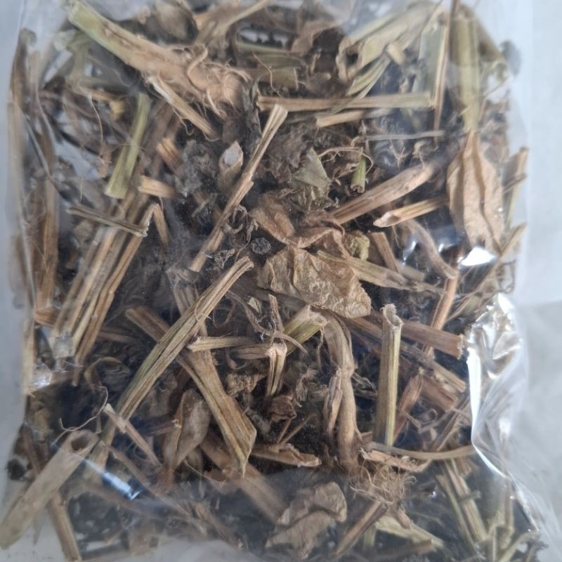 

MURAH Daun Ciplukan Kering 250/500gr