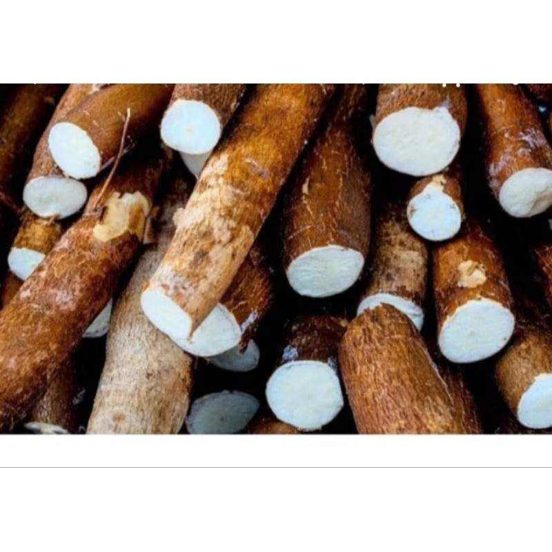 

Singkong mentah/singkong mentega kulit merah/singkong mentega 1kg