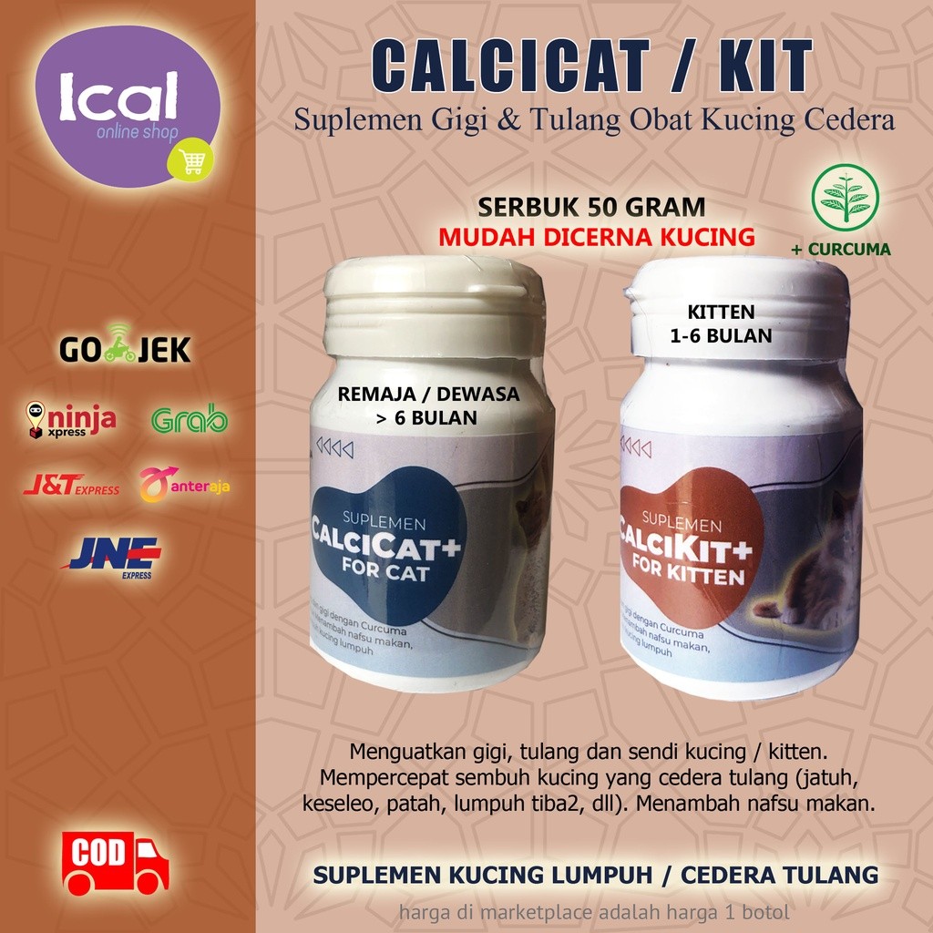 Calcicat Suplemen Kucing Cedera Tulang Dan Gigi