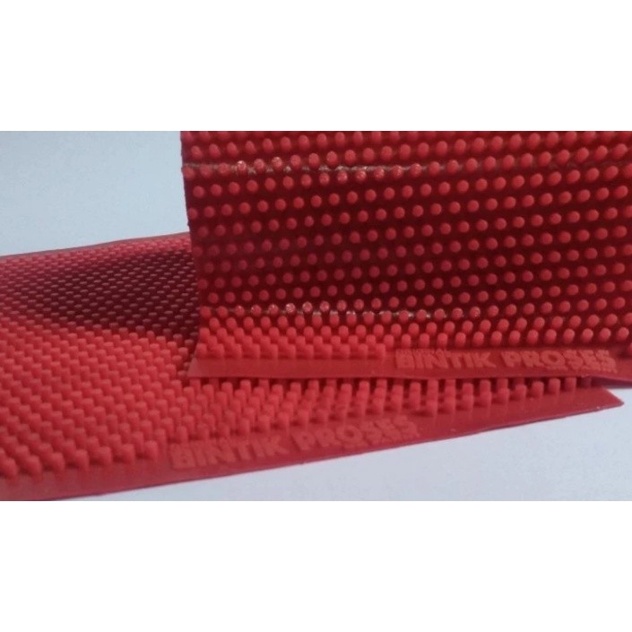 Bintik proses DR FANNI CO