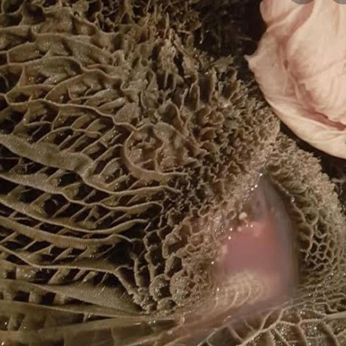 

Babat Sapi Hitam 250gr