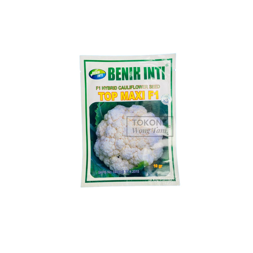 Benih Kembang Kol TOP MAXI F1 isi 10Gr Original DINASTY INTI AGRO SARANA Tahan Busuk Daun