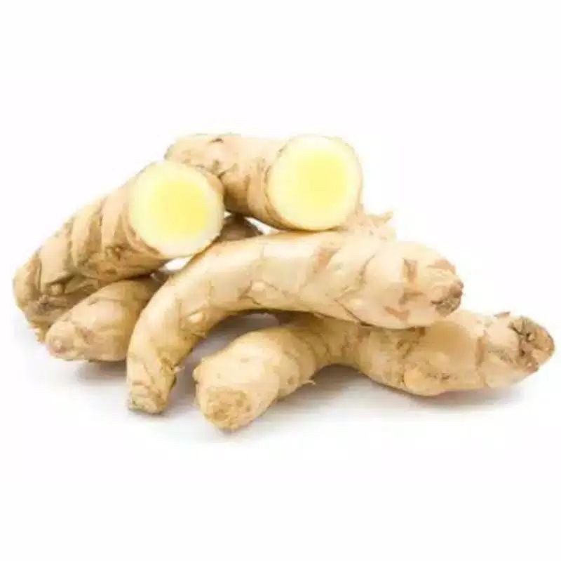 

Sahabattani Kunyit Putih Segar 1 Kg Termurah