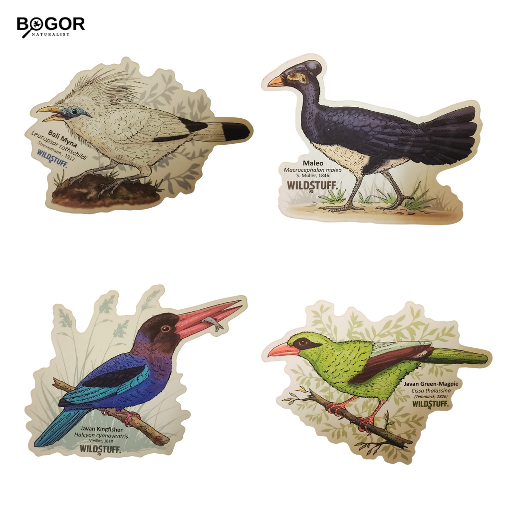 

Stiker Wildstuff Edisi Burung #1