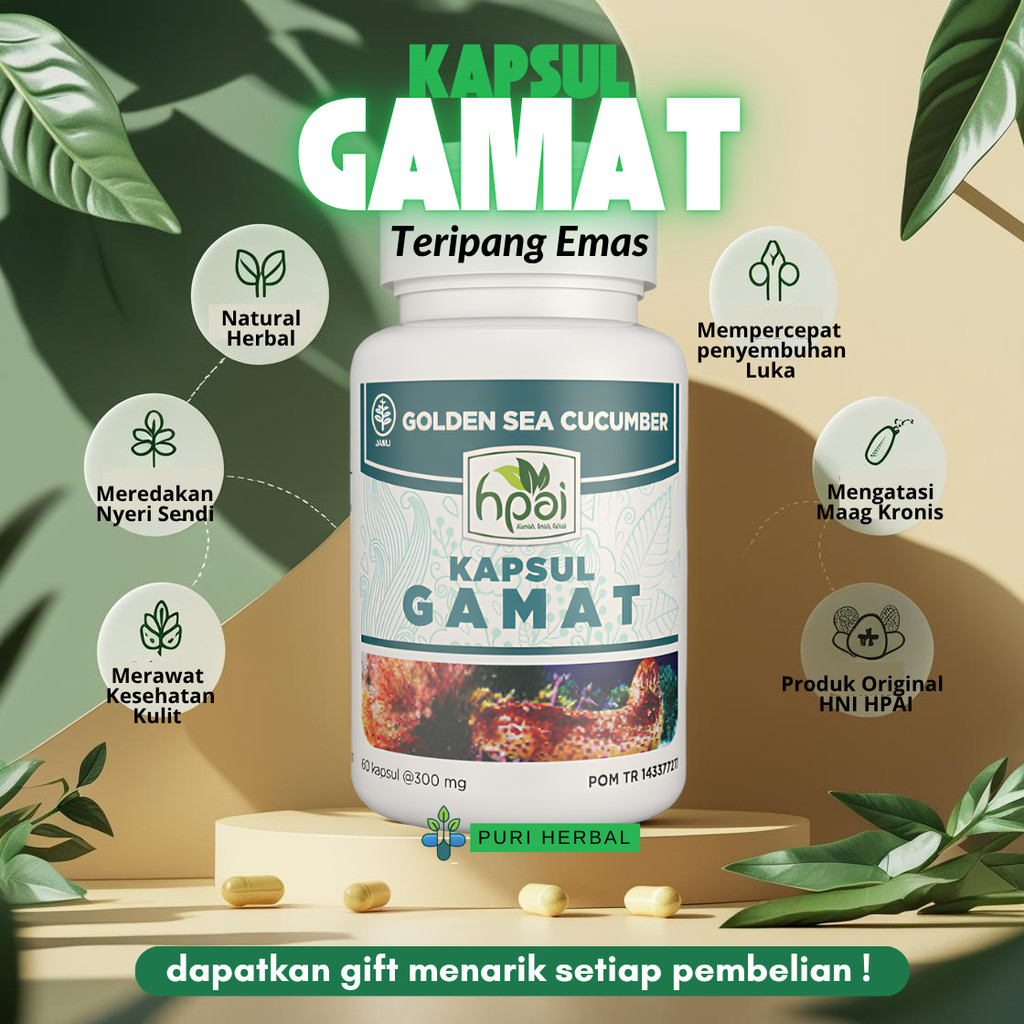 Kapsul Gamat Teripang Emas HPAI | Herbal Obat Luka Operasi, Maag, Nyeri Sendi