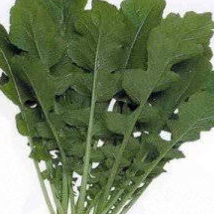 

Daun Lobak 1 ikat