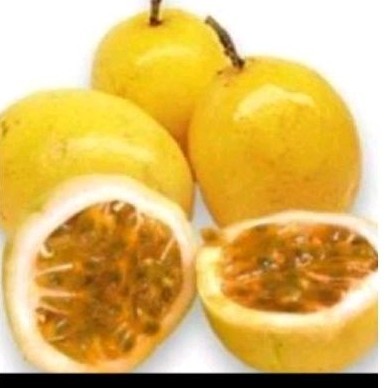 

Buah Markisa sgar 100 gr' markisa kuning .