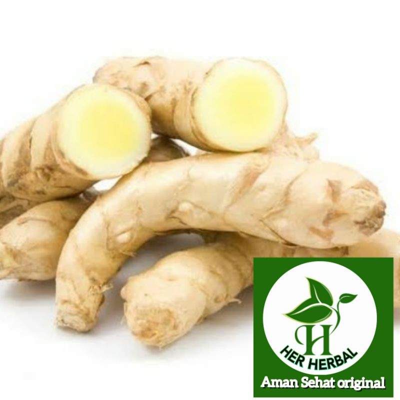 

Kunyit putih segar fresh 500gram