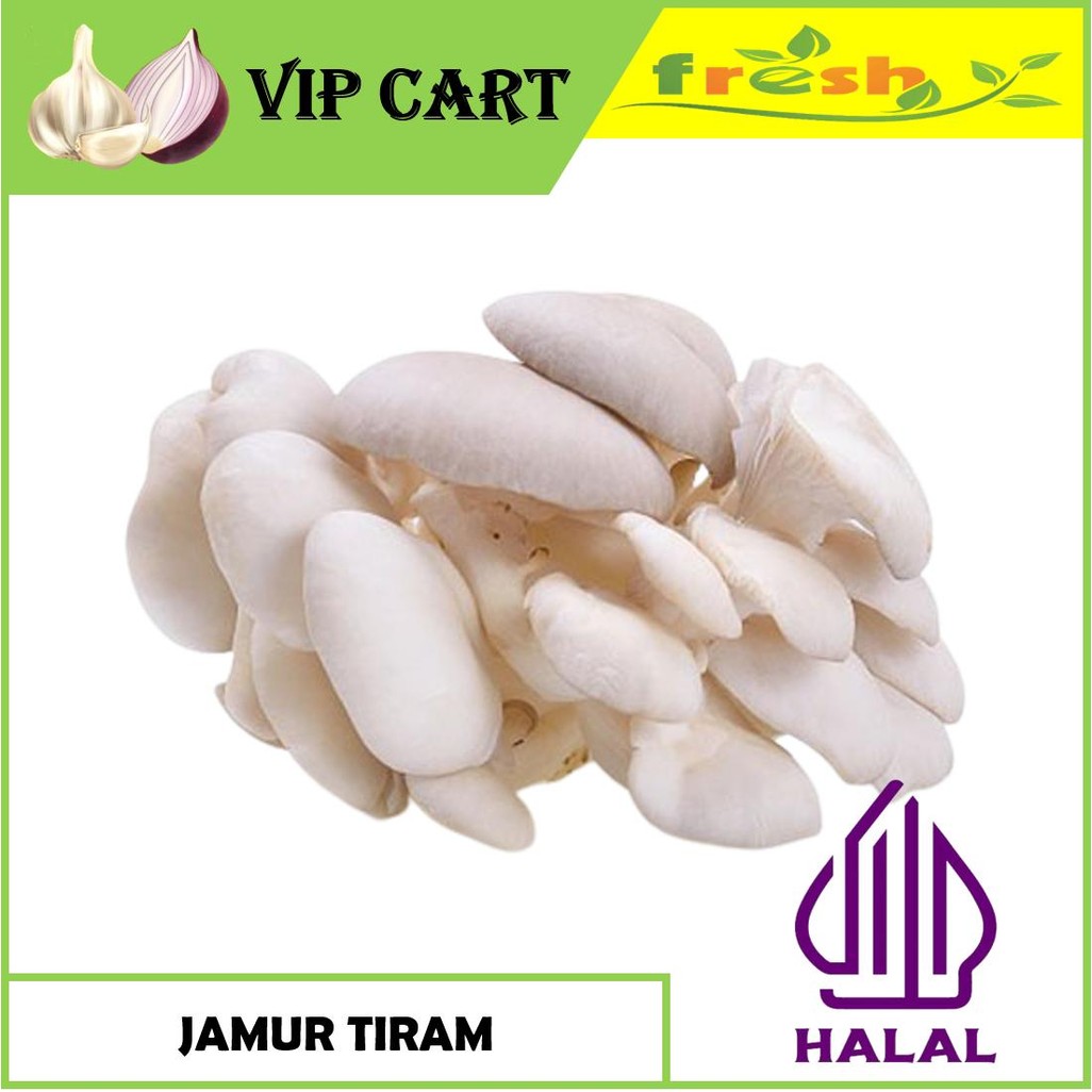 

JAMUR TIRAM FRESH SEGAR 250 GRAM