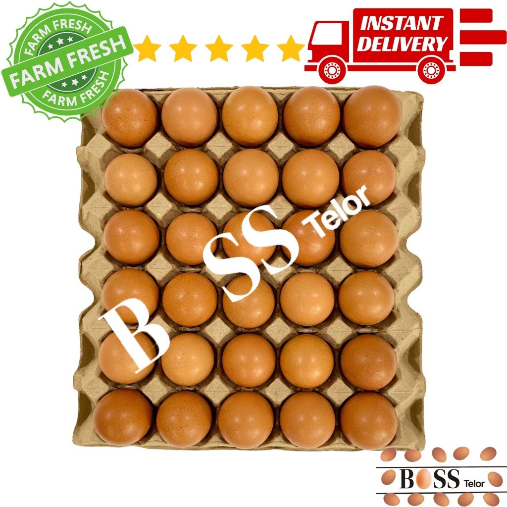

Telur Ayam Negri 30 Butir Fresh Dari Peternakan
