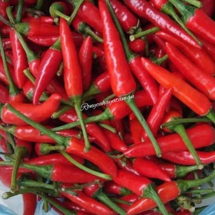 

Cabe Merah Rawit Super 100gr
