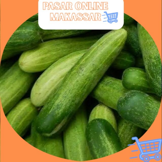 

Timun Hijau Per Biji